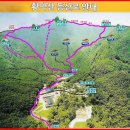 개미광고사 Daum카페