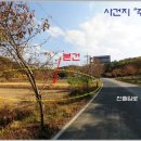 황룡리 이미지