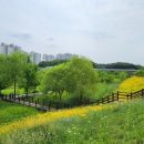 운정호수공원 이미지
