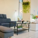 퍼피하우스 인천송도점 이미지