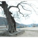 산동면 월산마을 네이버블로그