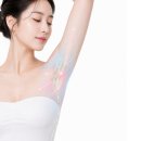 스텔로 - 강서구 명지국제8로 254 | 스텔로브 마사지기 후기 2026년 실제 사용자 경험으로 알아본 장점과 단점