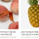 청년과일 이미지