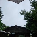 명덕잣나무집 이미지