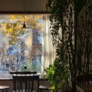 쿠로이:시로
