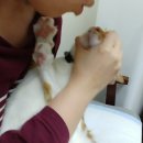 구포동물병원 이미지