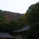 표충사 이미지