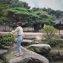 요시다 유니 : Alchemy + 석파정 서울미술관