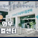 와우메디컬 이미지