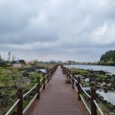 비양길100 이미지