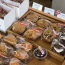 테스터커피 과천갈현점 | 과천 두쫀쿠 카페 테스터커피