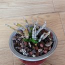 무명농장 이미지