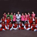 용인대석사 대하 태권도 이미지