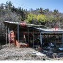 보성축사 이미지