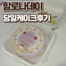 [목동역 레터링 케이크] 할로나데이 당일 케이크 후기