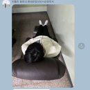 용비도서관 | 천고용비