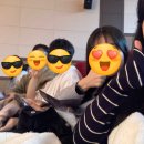 정현정공 이미지