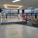 평택복싱스타 이미지