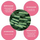 솔보 이미지