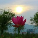 벌교원동 이미지