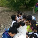 대원숲속어린이집 이미지