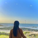 오성목장 이미지