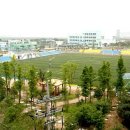 조치원체육공원 축구장 이미지