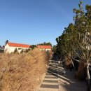 벽돌집 - 오산시 서동로 140 | 제주 한경면 에어비앤비 독채 감성 숙소 : 슬로메이 벽돌집 후기