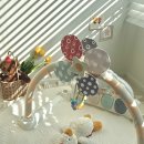 천도체육관 | 네스팅 14편ㅣ하베브릭스 아기체육관 당근 상태별 가격,세탁조립