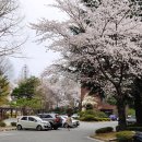 환경소재공학과 공장동 이미지