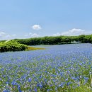 노다지목장 이미지