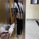 폼포코린 이미지