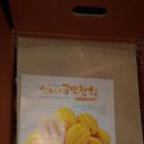 돌돌이하우스 이미지