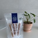 젤리네바다 이미지