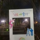 시청앞 가로수길 이미지