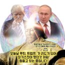 백십자