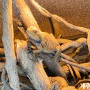 종인목장 이미지