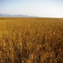 여수주유소 (건너) 이미지