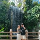 매미와 함께하는 여름여행 이미지