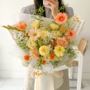 바이마이플레르 이미지