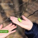 온노리 이미지