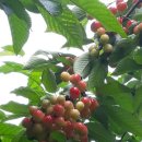 종희농장 이미지