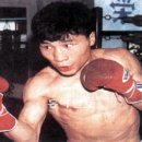 참피온복싱 이미지