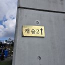 양평 애화몽 워크샵 단체 수영장 펜션 이미지
