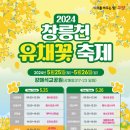 유채네일 이미지