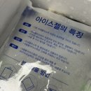 [내돈내산] 제철 쭈꾸미 집에서 즐기기, 알배기쭈꾸미 신선만수산 활쭈꾸미 솔직후기