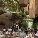 발리 짱구 페니레인 Penny Lane🌴 : 인스타 핫플 카페 솔직 후기