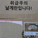 복순이님 대행-친환경 무항생제 유정란 생산자 직거래 이미지
