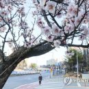 대덕대로-21 이미지