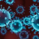 태산메디칼 이미지